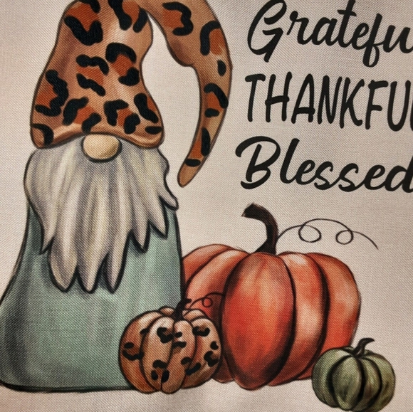 NEW Set of 4 Fall/Thanksgiving Pillowcovers - gnomes, leopard print - Picture 7 of 12